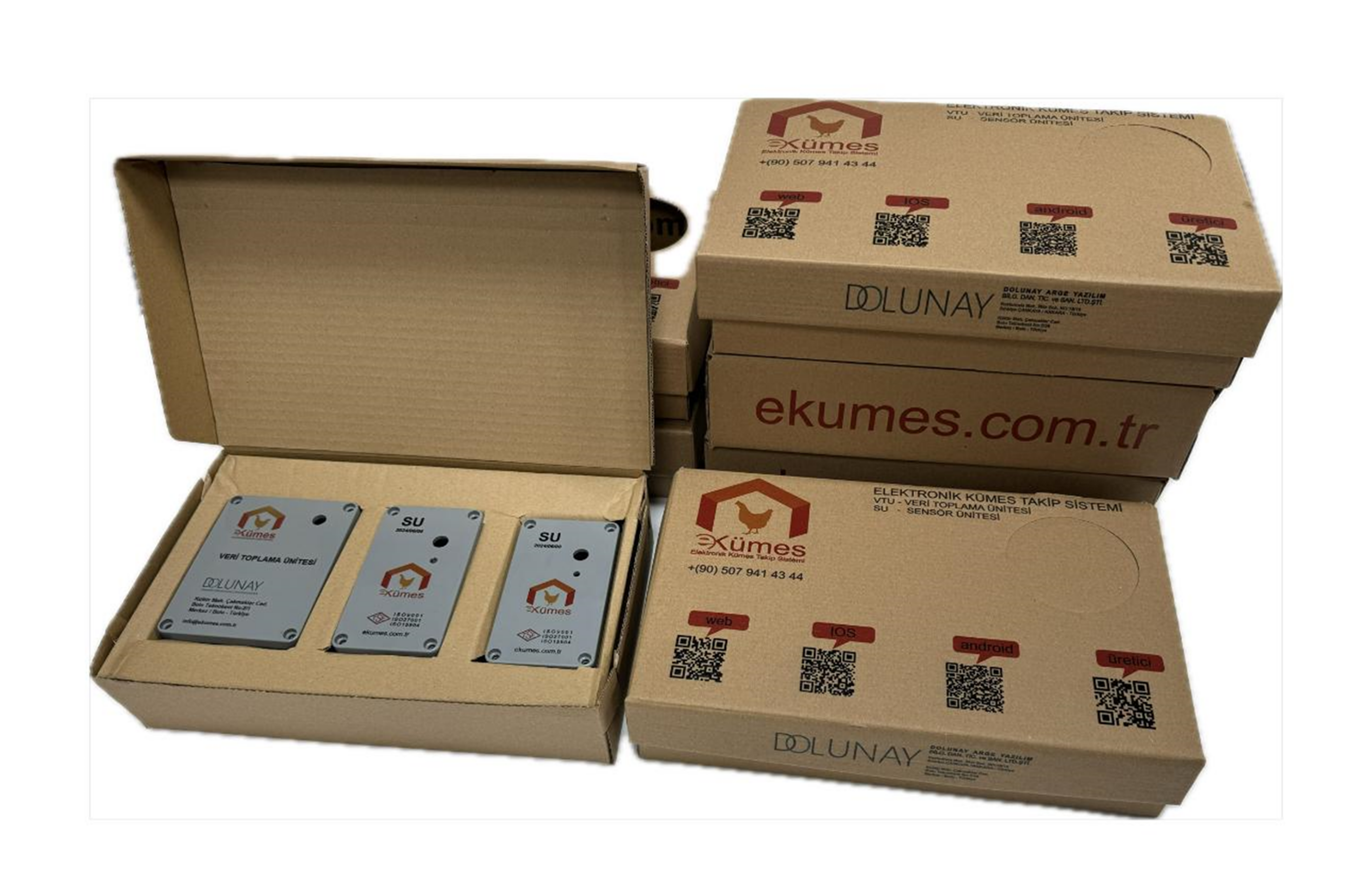 Yumurta Üretim Kümesi